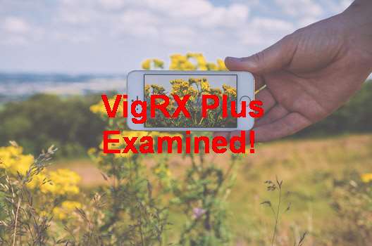 Is VigRX Plus Results Permanent