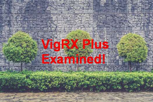 VigRX Plus Australia Shop