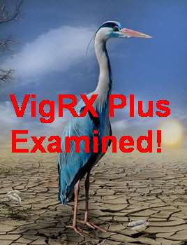 VigRX Plus Vs Xtrasize