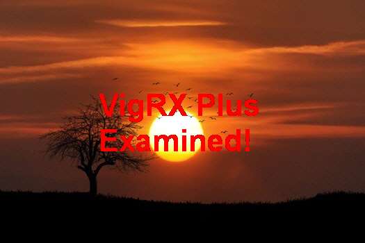 VigRX Plus Con Bioperine En Argentina