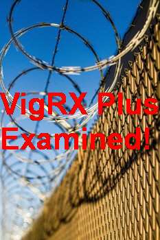 VigRX Plus After 6 Months