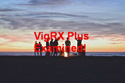 VigRX Plus Ingredients Mg