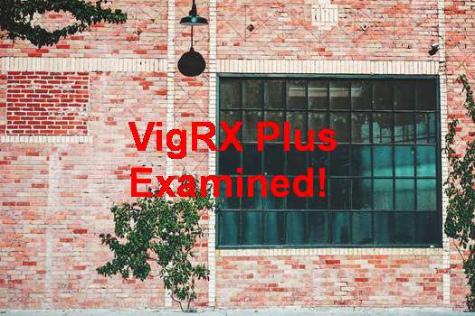VigRX Plus Vs