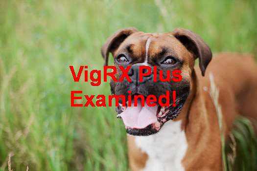 VigRX Plus Lasting Results
